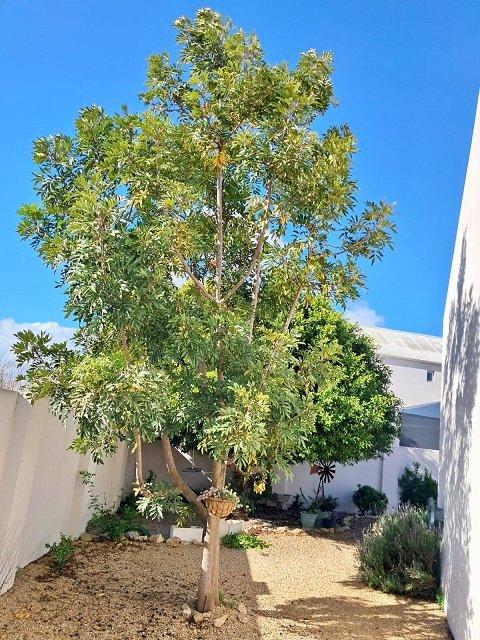 3 Bedroom Property for Sale in Laguna Sands Western Cape